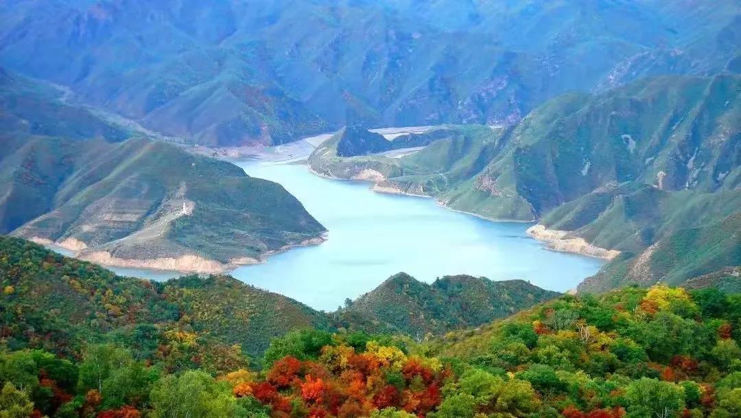 6008集团官方网站(中国)股份有限公司