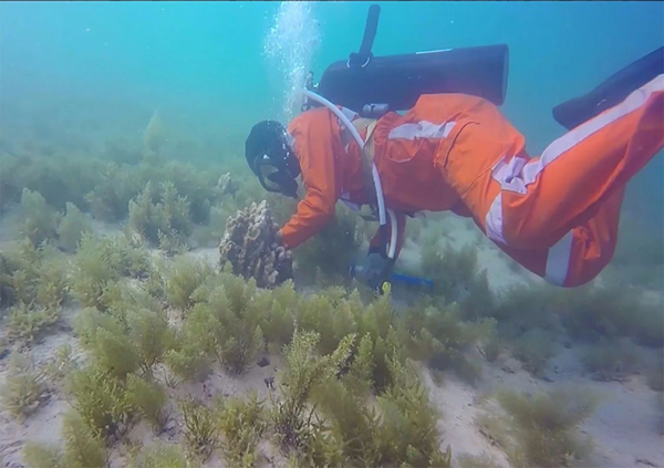 6008集团官方网站(中国)股份有限公司