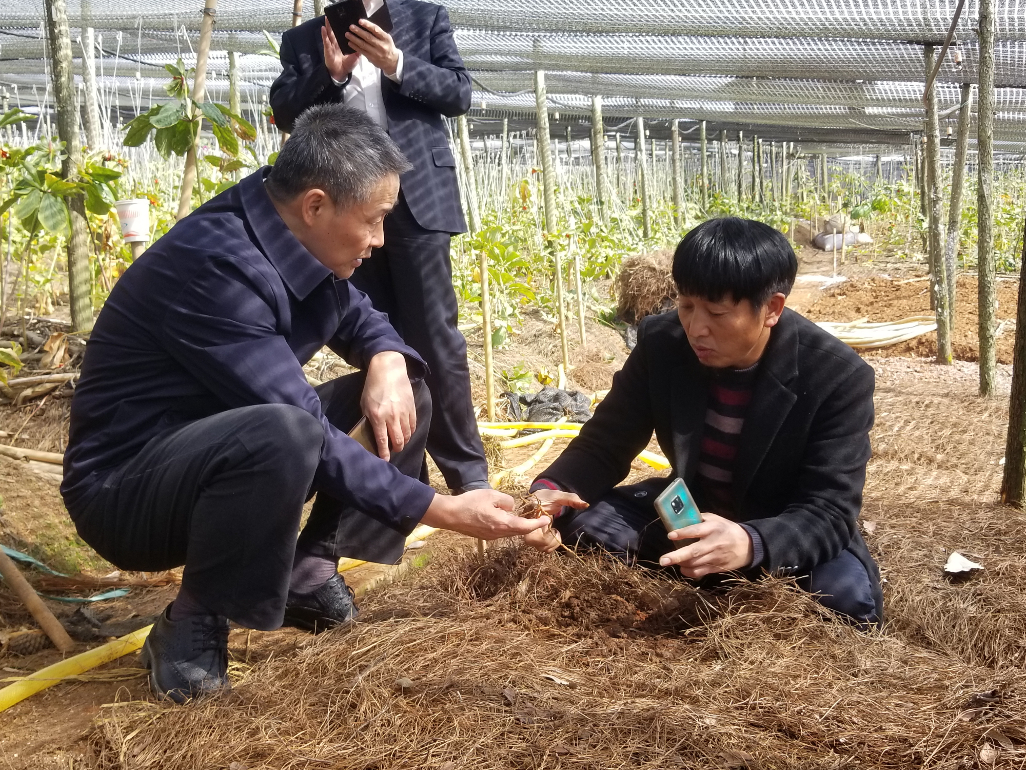 6008集团官方网站(中国)股份有限公司