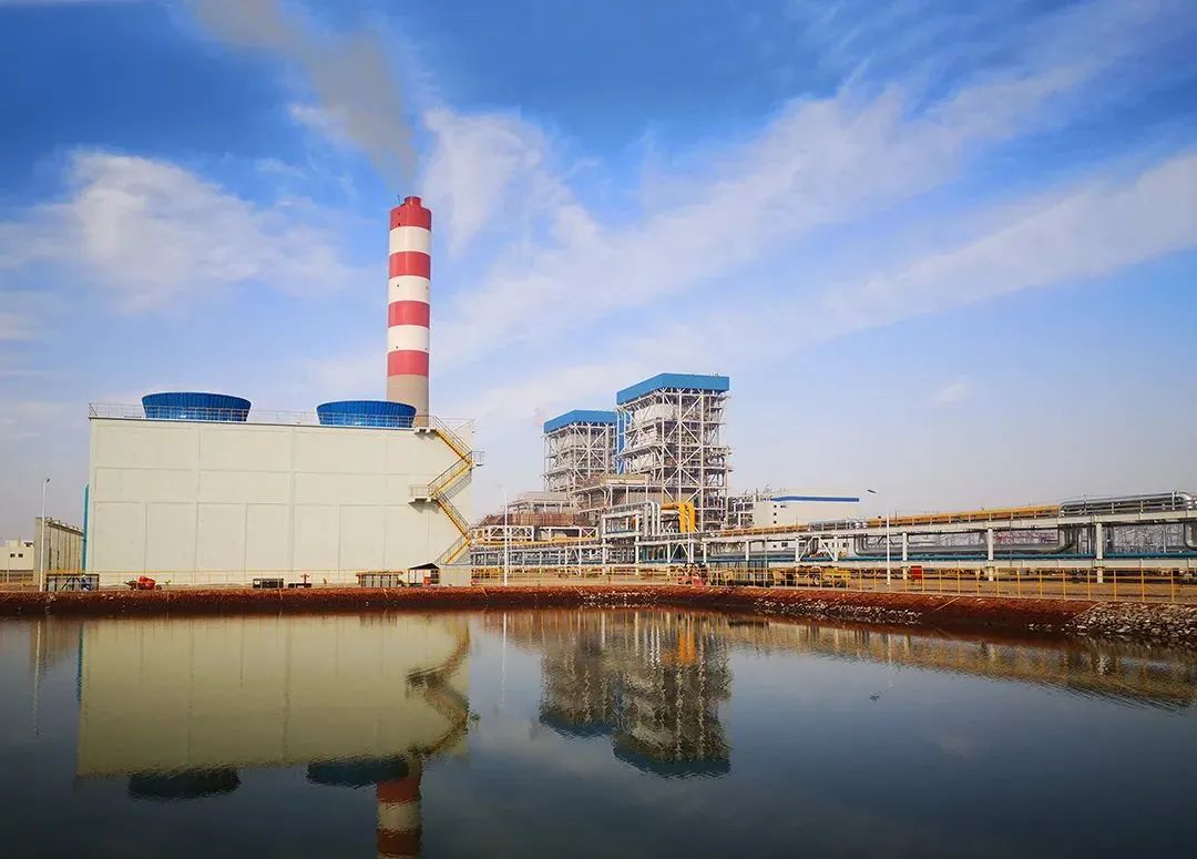 6008集团官方网站(中国)股份有限公司